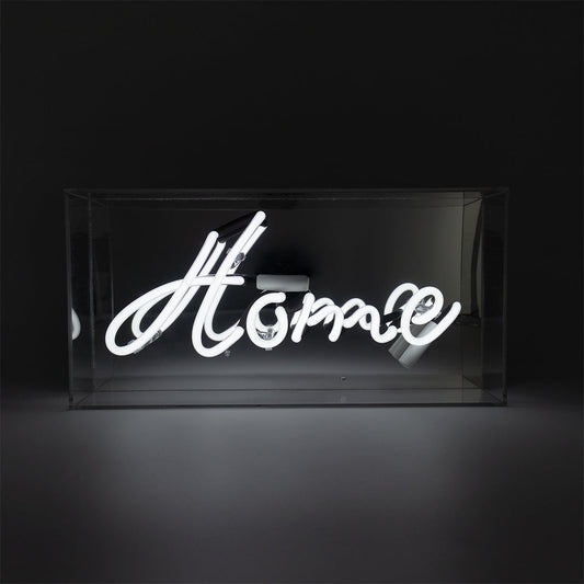 NEON LIGHT BOX HOME