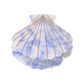 HAARKLAMMER SHELL CLOUD