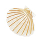 HAARKLAMMER SHELL PEARL